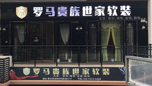 公司介绍